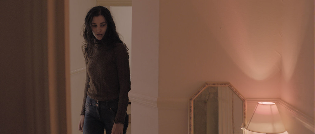 Director Gerard Johnson. Producers Joanna Laurie, Stephen Woolley & Elizabeth Karlsen Cast Peter Ferdinando, Stephen Graham, Elisa Lasowski, MyAnna Buring, Neil Maskel Number 9 Films & Film4